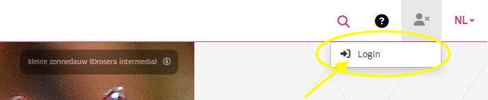 homepage login knop